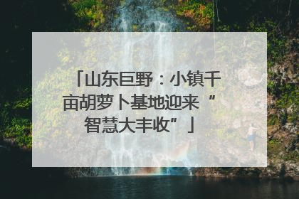 山东巨野：小镇千亩胡萝卜基地迎来“智慧大丰收”